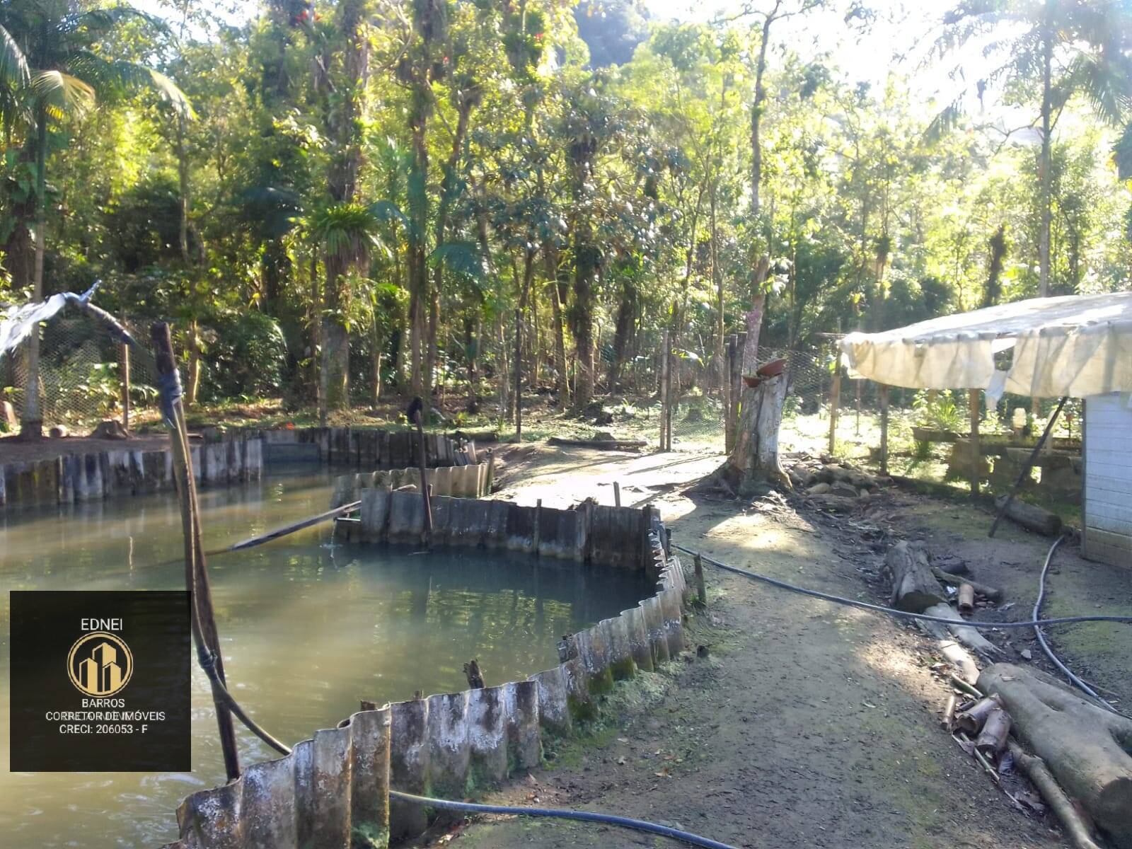 Sítio à venda com 4 quartos, 25000m² - Foto 6