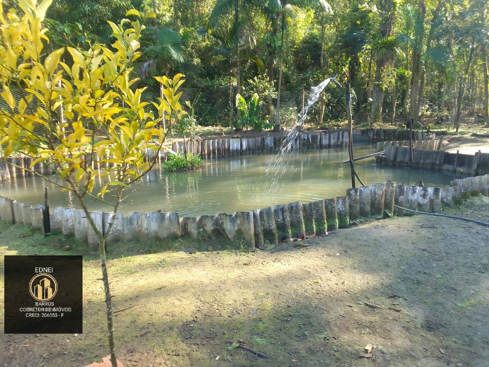 Sítio à venda com 4 quartos, 25000m² - Foto 7