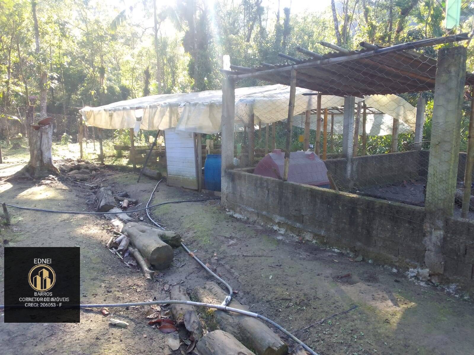 Sítio à venda com 4 quartos, 25000m² - Foto 8