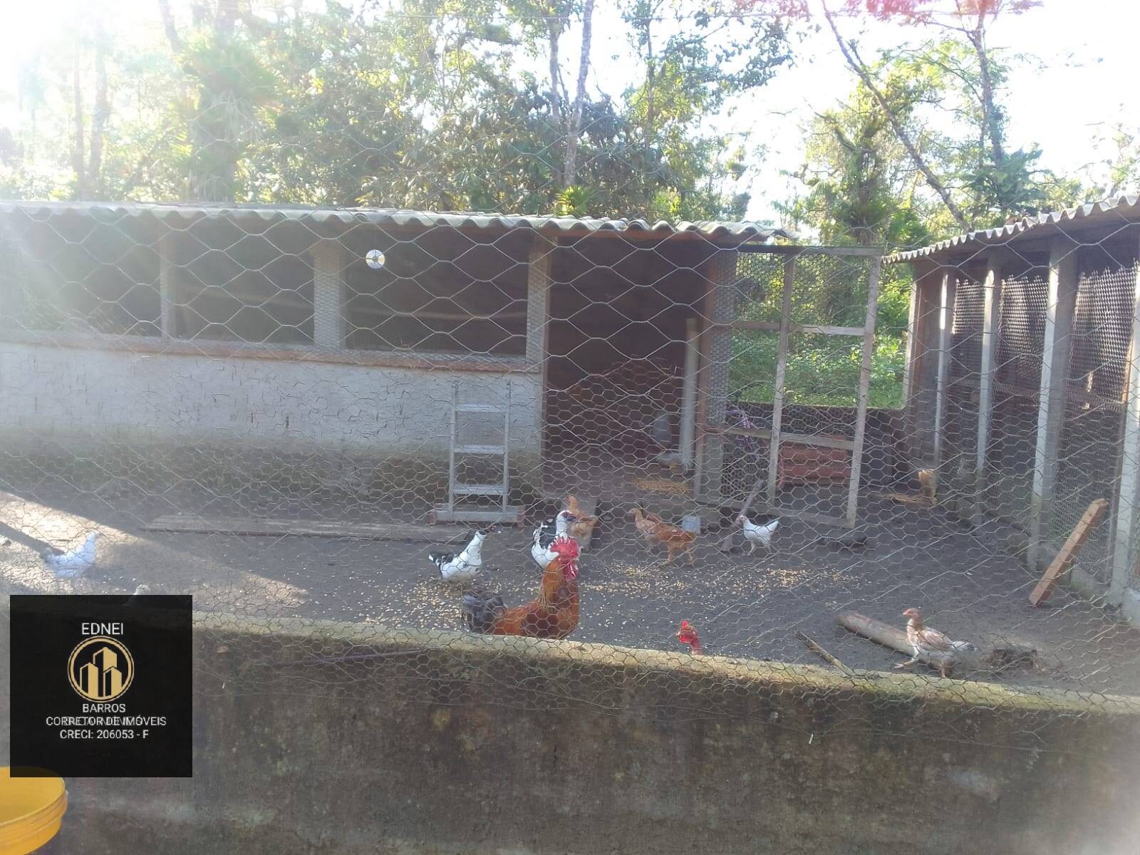 Sítio à venda com 4 quartos, 25000m² - Foto 9