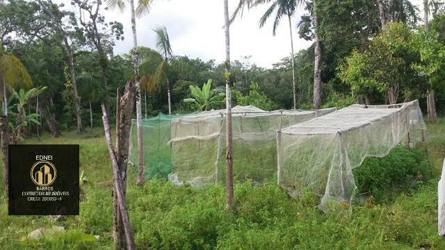Chácara à venda com 10 quartos, 7500m² - Foto 11